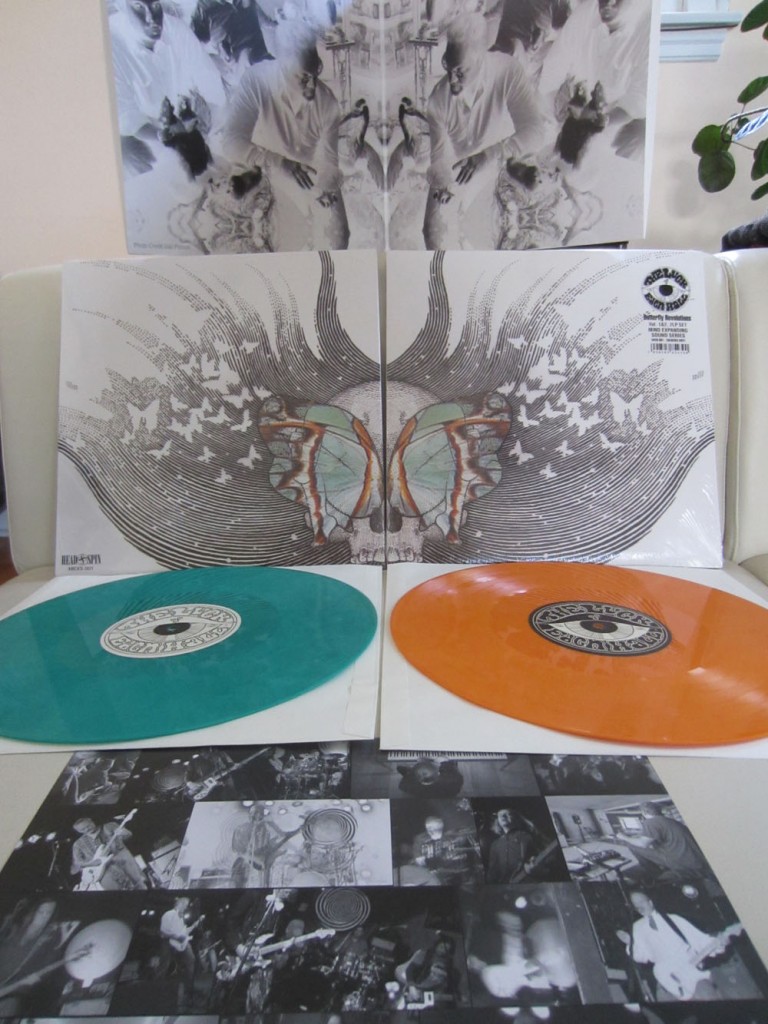 Butterfly-Revolutions-Album-Spread