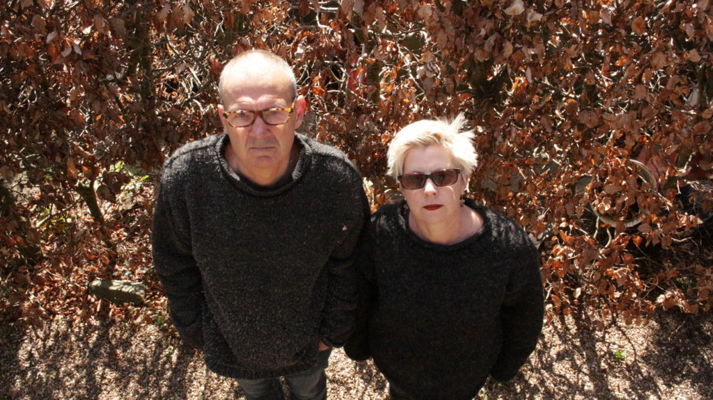 Short-Haired Domestic