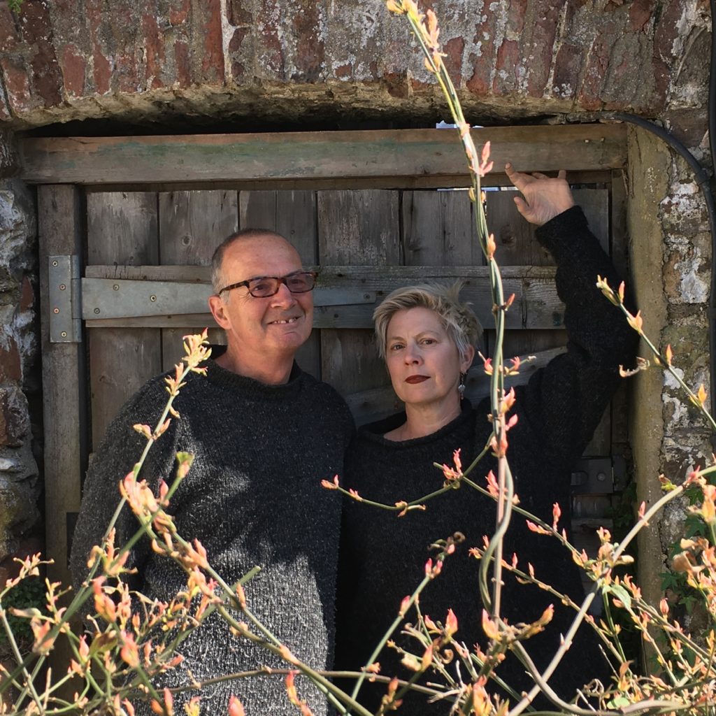 Short-Haired Domestic