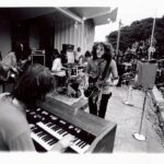 Michael Fennelly - Crabby Appleton