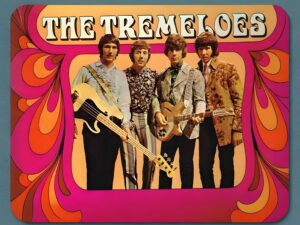 The Tremeloes