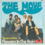 The Move - Flowers In The Rain