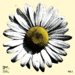 Heart Of Gold Volume 1, The Songs Of Neil Young