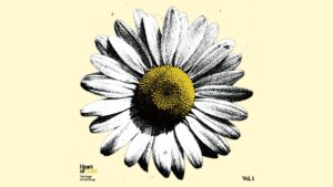 Heart Of Gold Volume 1, The Songs Of Neil Young