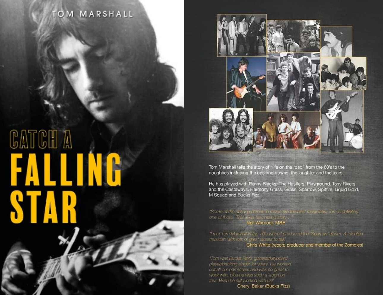 Tom Marshall - Catch A Falling Star