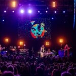 YES (Credit: Gottlieb Bros)