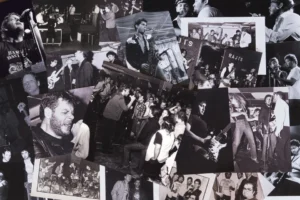 Top Jimmy and the Rhythm Pigs