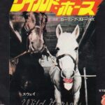 Wild_Horses_by_The_Rolling_Stones_Japanese_vinyl